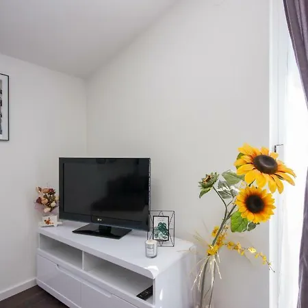 Apartment Luka 